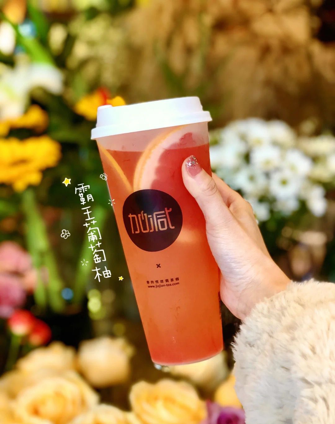 好博(中国)体育茶饮